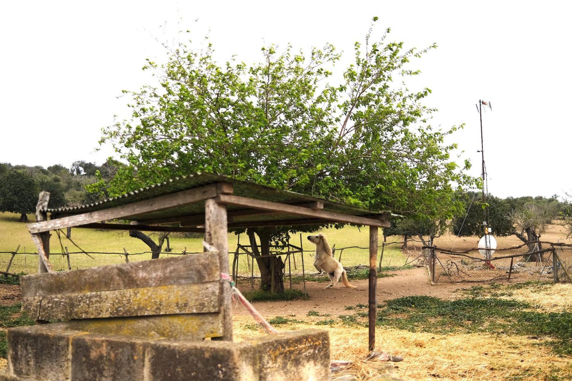 Finca Hotel Ses Cases Noves Sant Llorenc Des Cardassar Exterior foto