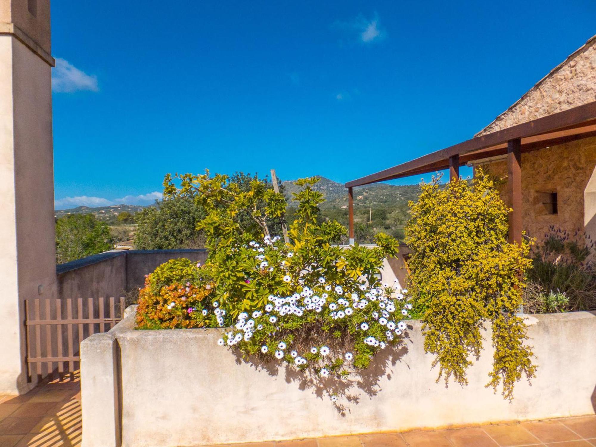 Finca Hotel Ses Cases Noves Sant Llorenc Des Cardassar Quarto foto