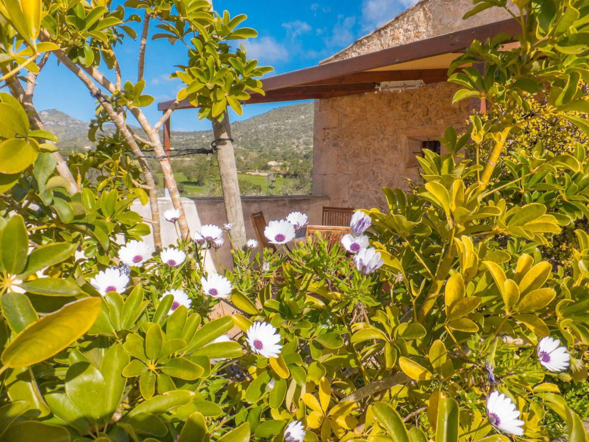 Finca Hotel Ses Cases Noves Sant Llorenc Des Cardassar Quarto foto